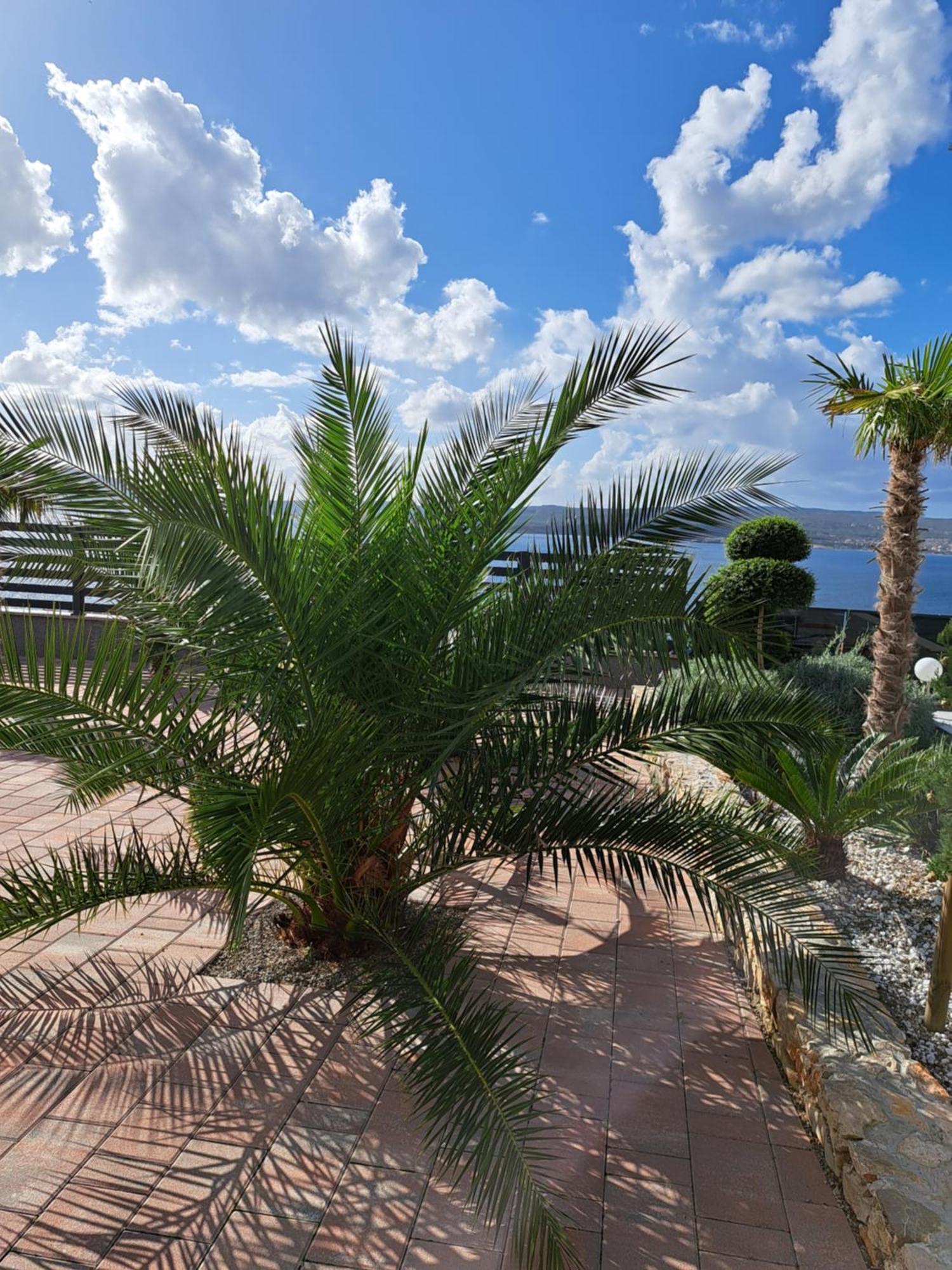 Villa Belissima Vista Mare Selce Extérieur photo